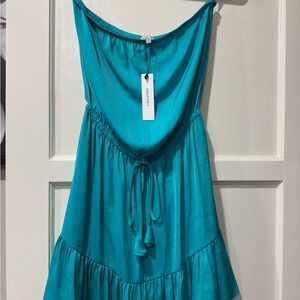 Naked Zebra Turquoise Tube Dress